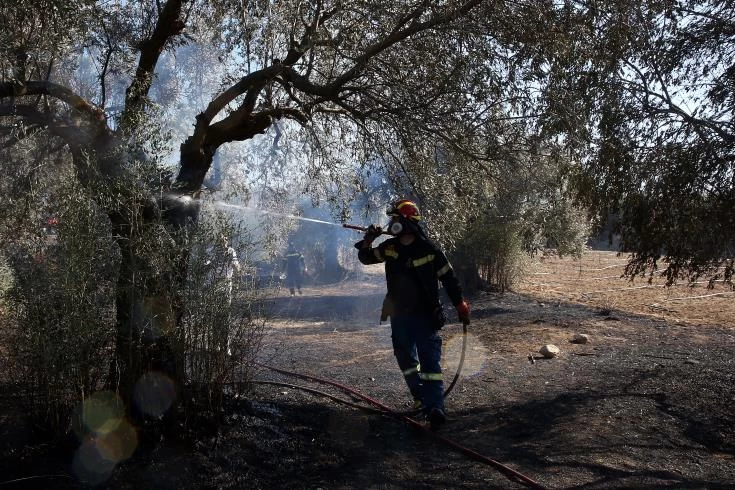 Πυρκαγιά στην Παιανία – Καίει χαμηλή βλάστηση